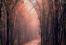 WTT土耳其青年挑战赛 我国乒乓小将黎明映夺冠.