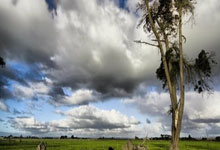 [英超]不想继续输 就要先“减负”.