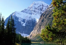 6686体育官网:山西大妈1米53,却在NBA“效力”超30年,出场费5分钟5000美元.