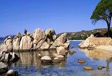 东契奇33+11杜兰特21分 里夫斯28分胜太阳.